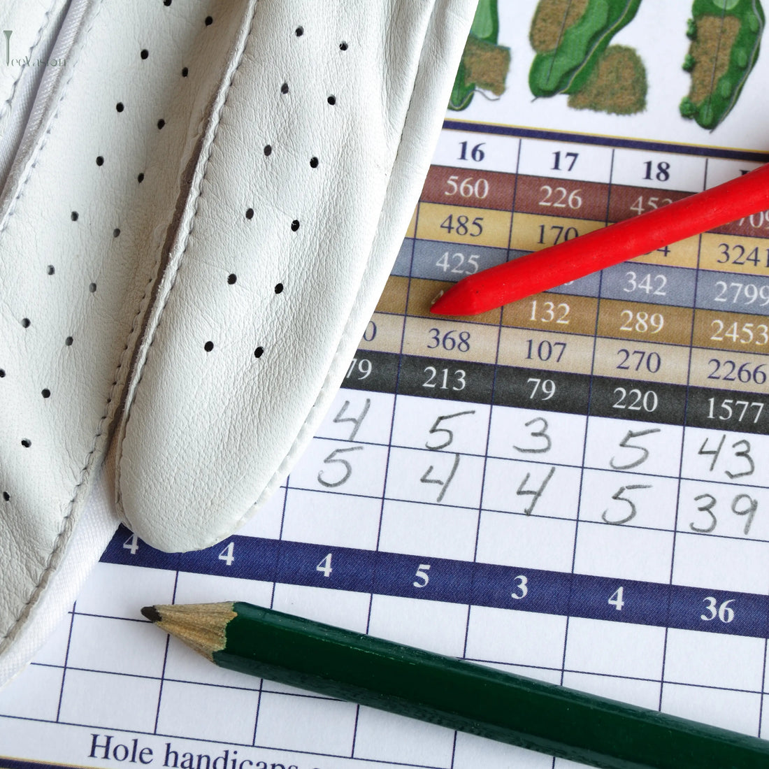 Comprendre-le-calcul-du-score Tee Vasion