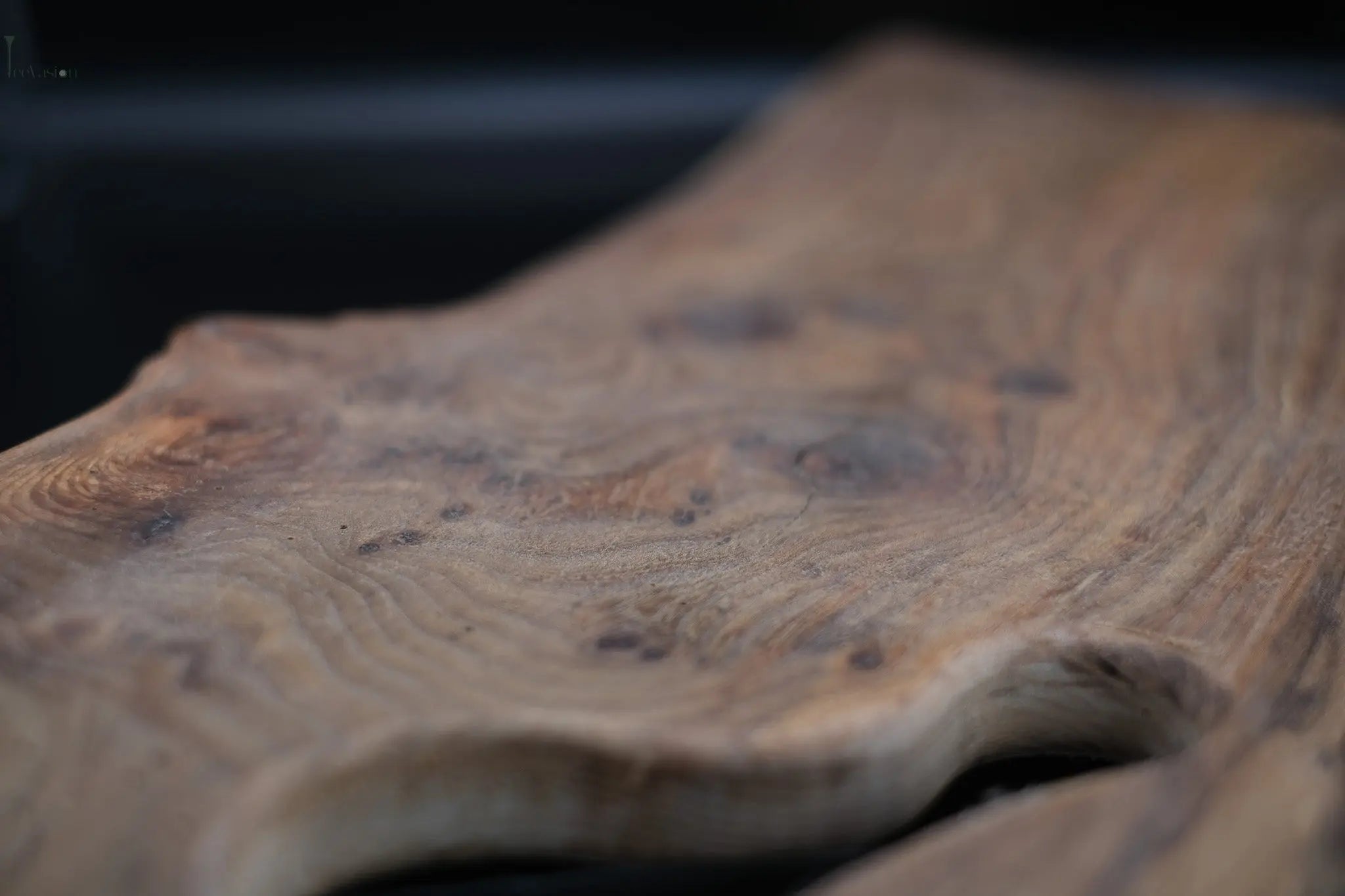 Wooden Slice – L’authenticité du bois pour des apéros uniques TeeVasion